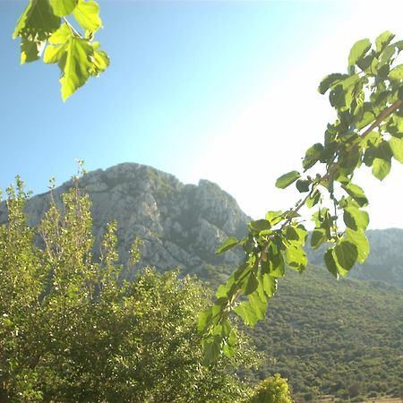 Tas Avlu Butik Otel Karaburun  Exterior foto